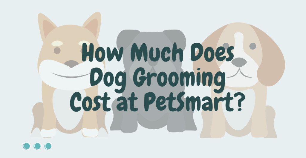How Much Does Dog Grooming Cost at PetSmart? 