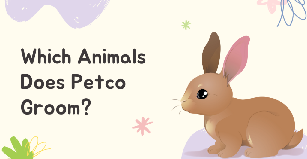  
Which Animals Does Petco Groom? 