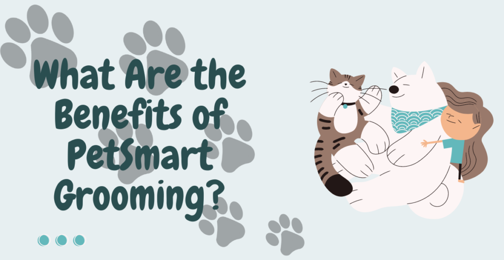 What Are the Benefits of PetSmart Grooming? 