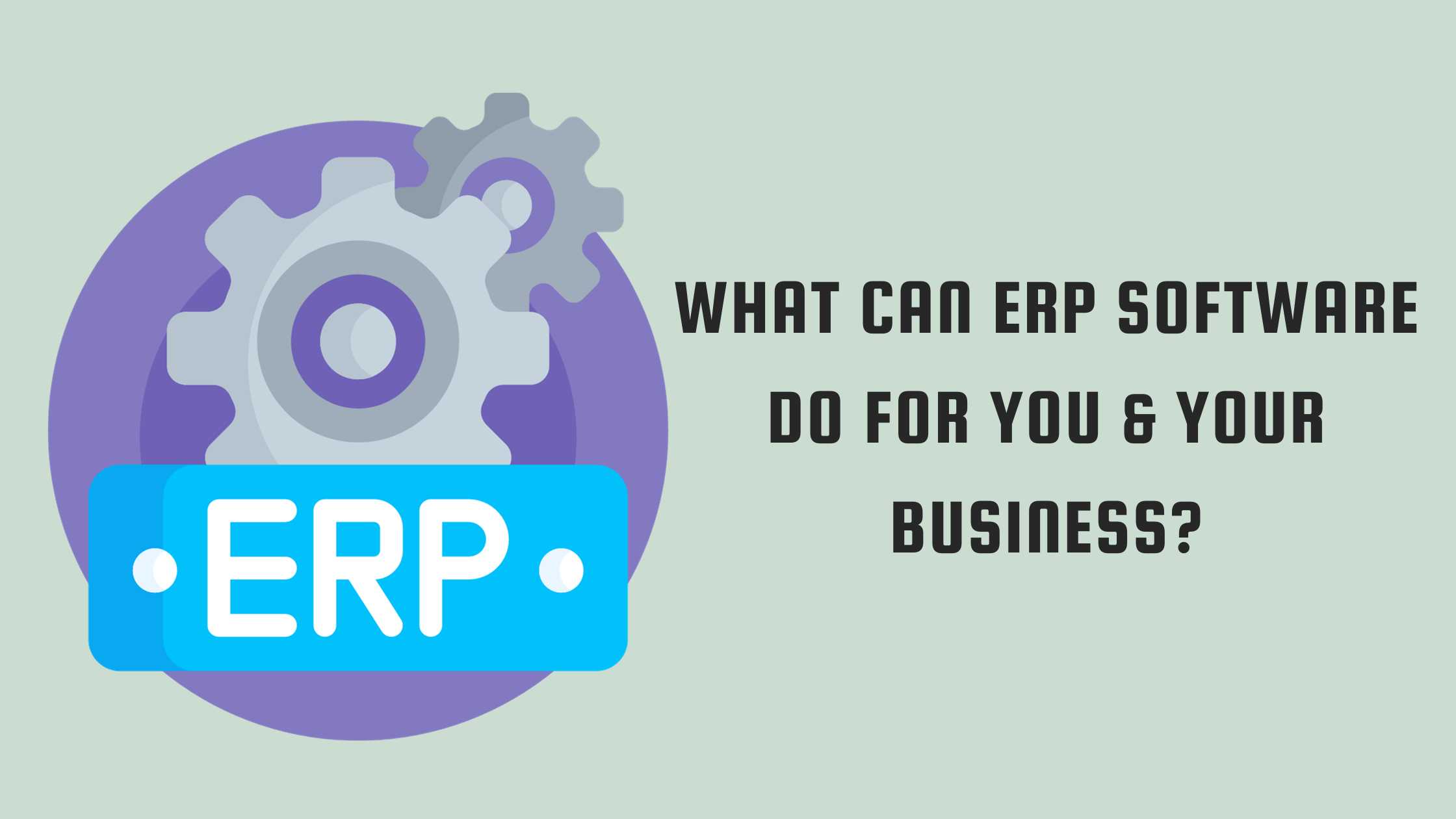 What Can ERP Software Do for You & Your Business?